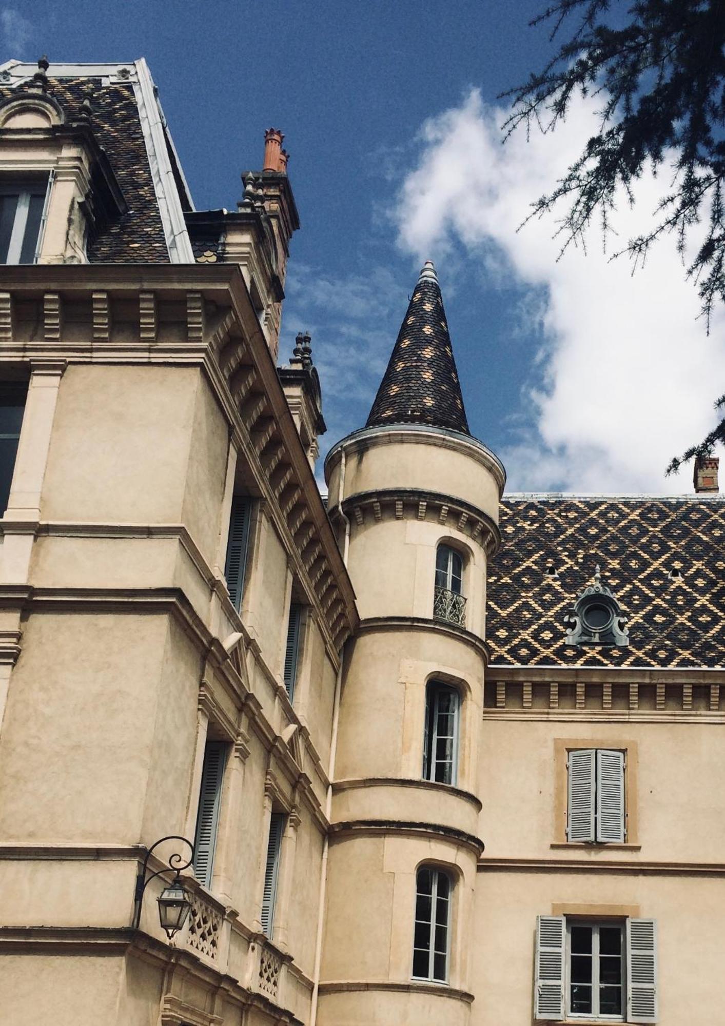 Grand Appartement D'Exception Au Chateau Randin Ecully Exterior photo