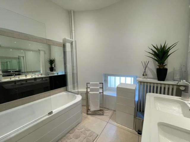 Grand Appartement D'Exception Au Chateau Randin Ecully Exterior photo